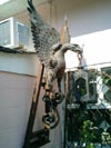 Garden Elements